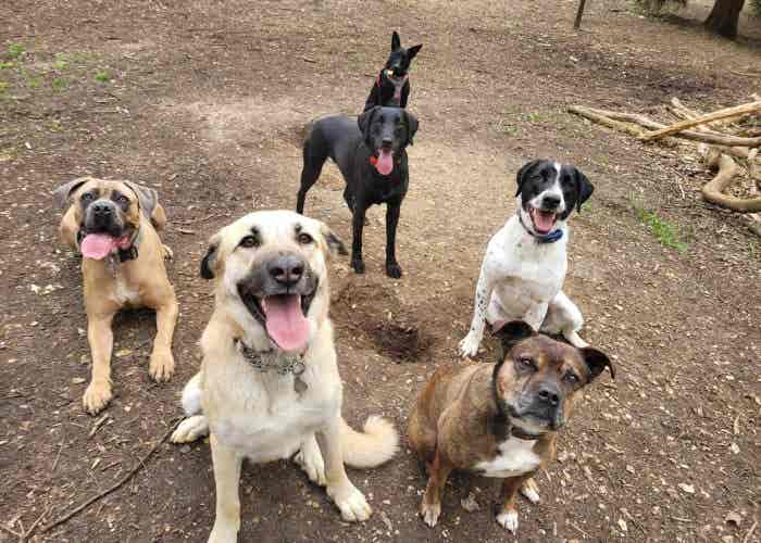 32f89f59-5ed7-4494-93ee-d1e951660a23