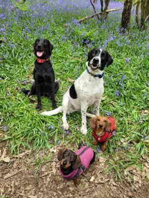 de78ef41-3638-411b-89bb-370cf478b0af